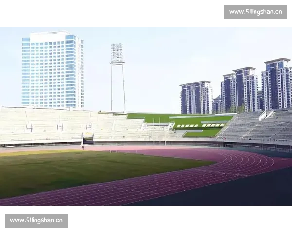 面向未来城市发展的现代足球规划体系构建与实践路径探索创新策略研究